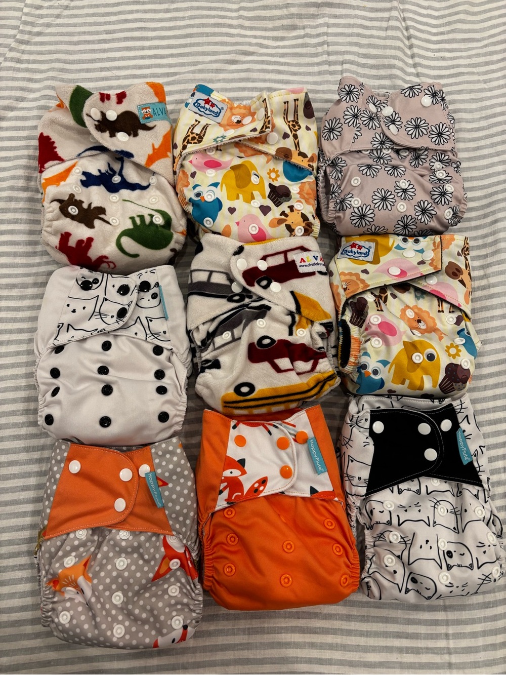 Cloth Diaper Lot (9)